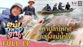 Cast net fishing in Mekong river, Wan Yai, Mukdahan