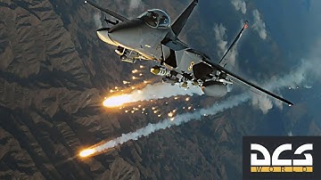 DCS F15c Dogfight | A Rolling Scissors