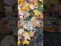 “Autumn shows us how beautiful it is to let things go.” ~ Unknown