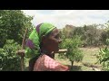 Permaculture brings prosperity to Ethiopia's rural areas