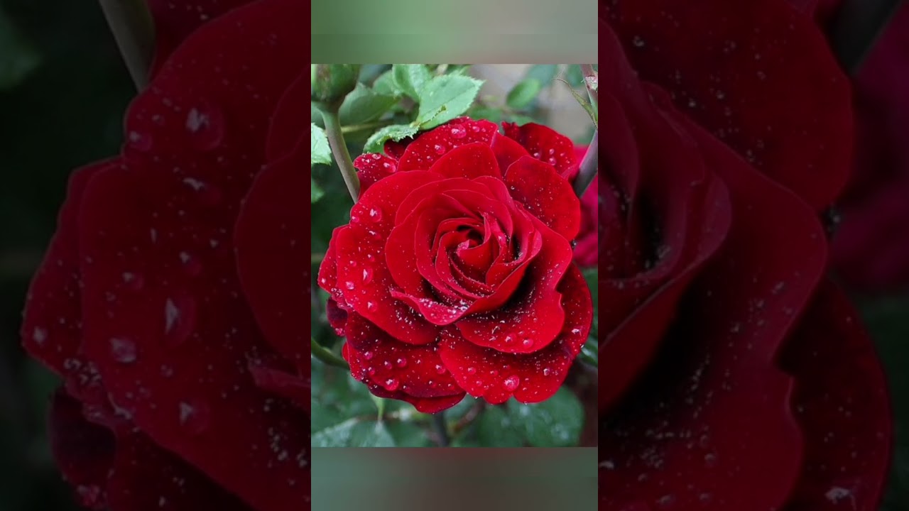 Aapke takleef ke peeche chupe Allah ke hikmat 