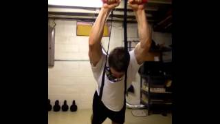 Hybrid Suspension Training Body Row Anti-Extension Ab Roll Out