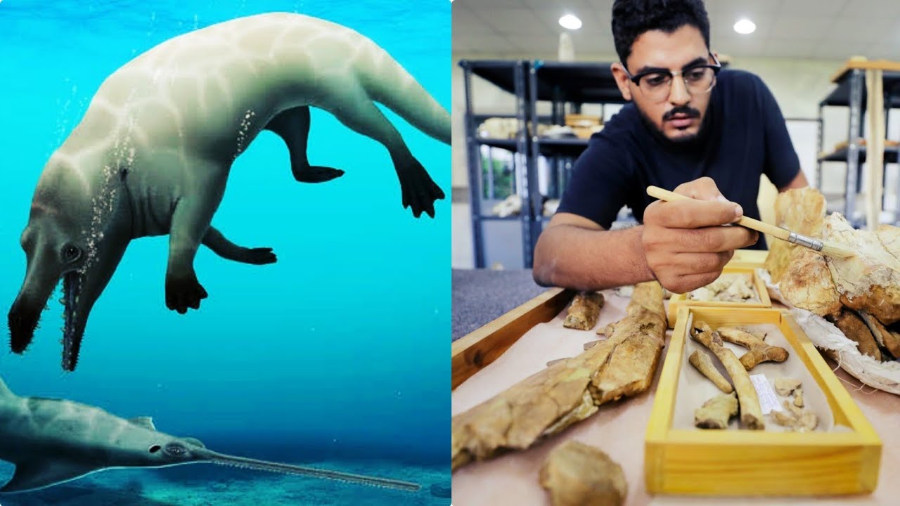 Scientists found 4 legged whale