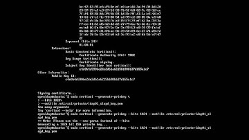 Secure OpenLDAP with TLS