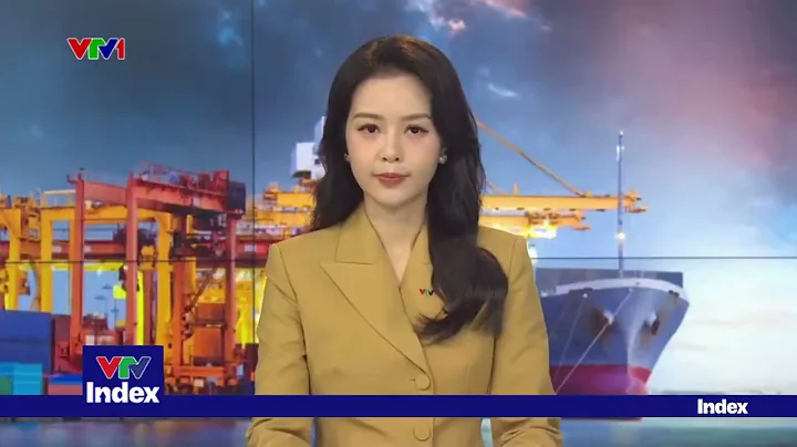 Vì sao chứng khoán Việt Nam được nâng hạng nhưng vẫn cần đợt rà soát tháng 3/2026? | VTVIndex