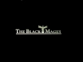 The Black Mages Fight With Seymour FFX 