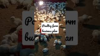 murig poultry chicks farm poultry farm business plan #short#farm#chicken#sell#murgi