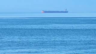 Orcas, Clover Point Victoria, British Columbia, Canada. April 13th 2024 by Michael Kalman 32 views 1 month ago 30 seconds