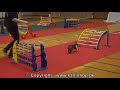 Danish Championships 2010 in Rabbit Hopping