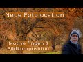 Landschaftsfotografie Motive finden - Bildkomposition - Tipps zur Baumfotografie -  FUJI X-T5