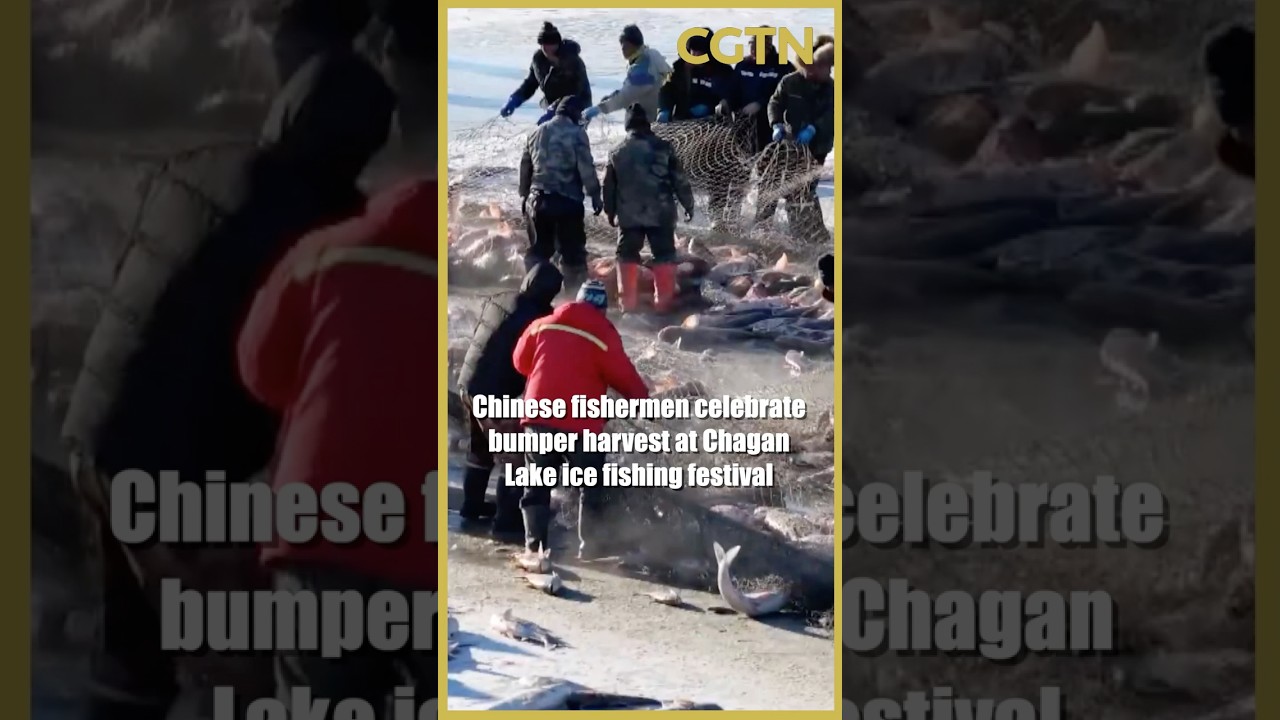 Chinese fishermen celebrate bumper harvest at Chagan Lake ice fishing festival