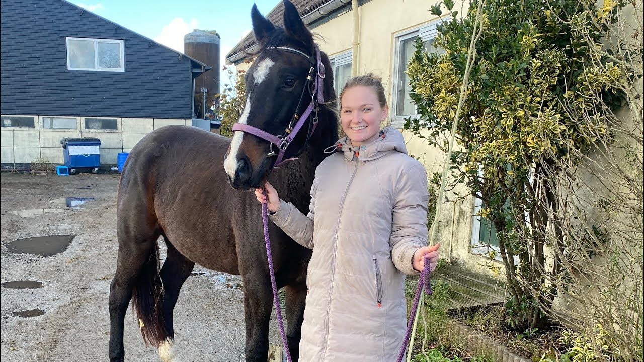 WEEKVLOG! Wat ga ik doen met frenkie? Kijkje tijdens Lesgeven! - YouTube