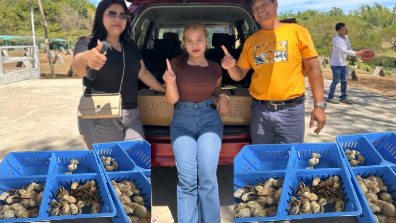 WILDCREEK GAMEFARM PART 2! 😍