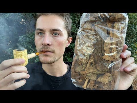 Smoking Nicotiana Rustica for the First Time (Strongest Tobacco in the World)