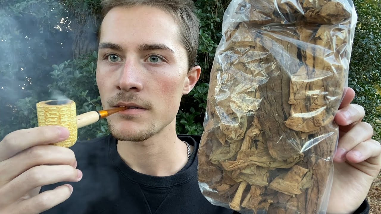 scandinavian tobacco group products Scandinavian Tobacco: Why This 9% Payer Deserves A Look (OTCMKTS:SNDVF)