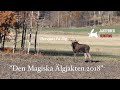 JAKTFEBER "Den Magiska Älgjakts Premiären 2018"