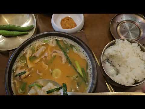 여기와서 맛있는 오소리 감투 국밥을 드세요