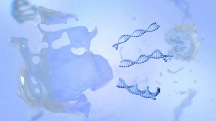 For Providers: How the Galleri Multi-Cancer Early Detection Test Works