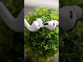 Apple Delays AirPods Pro with Cameras and Apple Intelligence