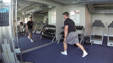 Split Stance Vertical Jumps