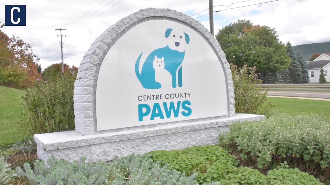 Centre Paws Penn State students see improved mental health by fostering animals ...