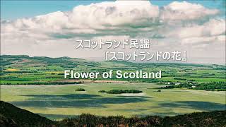 【和訳付き】スコットランドの花（スコットランド民謡） - &quot;Flower of Scotland&quot;