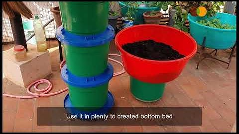 Plug in - Plug out compost and grow in the same container - No harvesting, easy to do