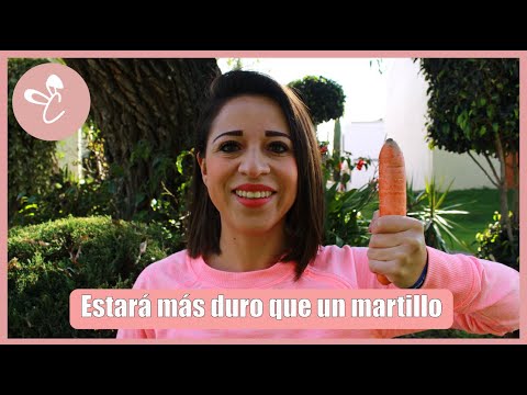 Video: Cómo Tener Superfiestas