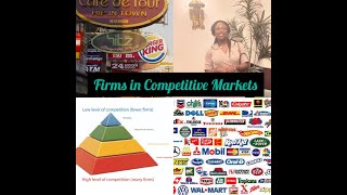 Famous Ch 15 Micro: Firms in Competitive Markets Wealth