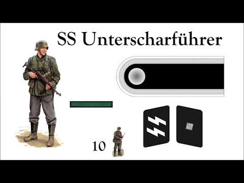 Иерархия воинских званий Общих СС и Waffen SS   Погоны и петлицы Ваффен СС во Вт