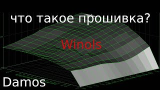 Прошивка Общий взгляд DAMOS WINOLS