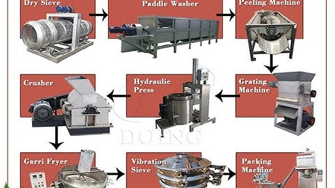 Cassava peeling machine for cassava processing plant