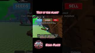 Is this fr?? #roblox #gaming #gag #echoplayz