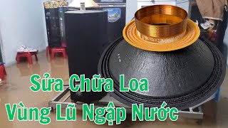 Sửa Chữa Loa Ngập Lũ Thay Trọn Bộ Recone Kit
