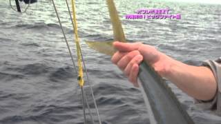#006 沖縄満喫！ビックファイト編