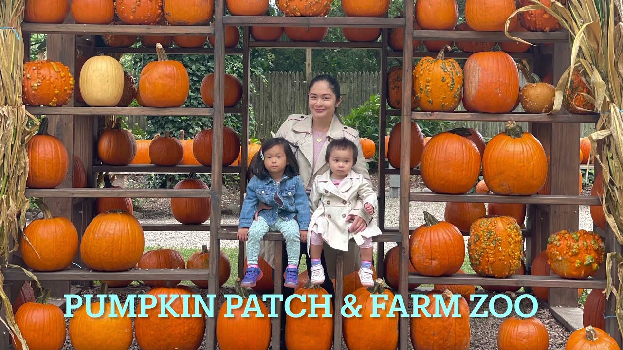 Pumpkin Patch and Farm Zoo at Abma’s Farm, New Jersey