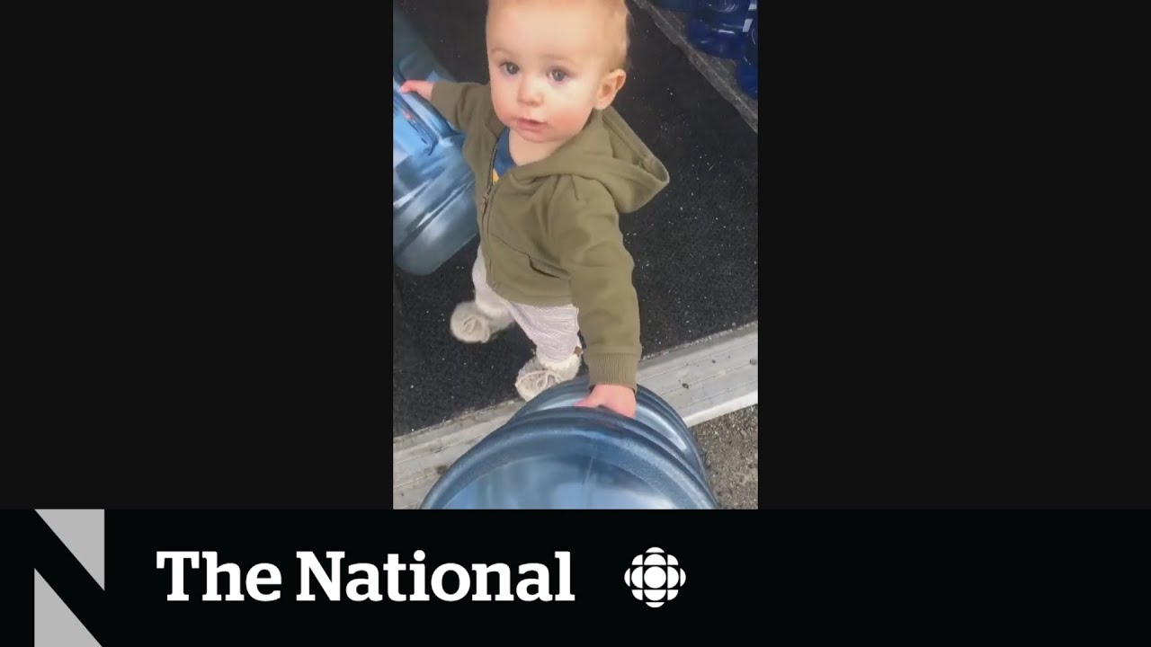 B.C. TikTok toddler goes viral for helping mother with family business