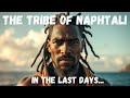 The Tribe Of Naphtali In The Last Days Who Where Are They Now The Tribe Of Naphtali In The Last Days Who Where Are They Now
