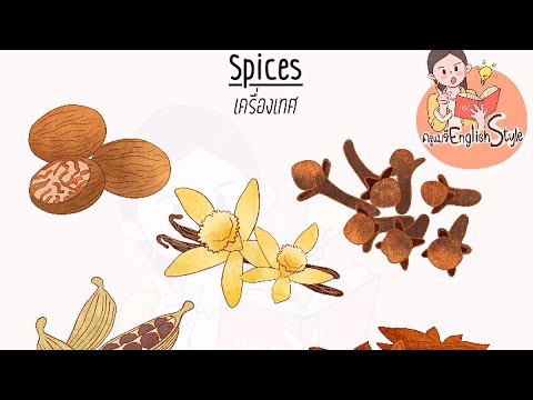 ฝึกออกเสียงคำศัพท์ภาษาอังกฤษ [English Vocabulary] เครื่องเทศ spices 