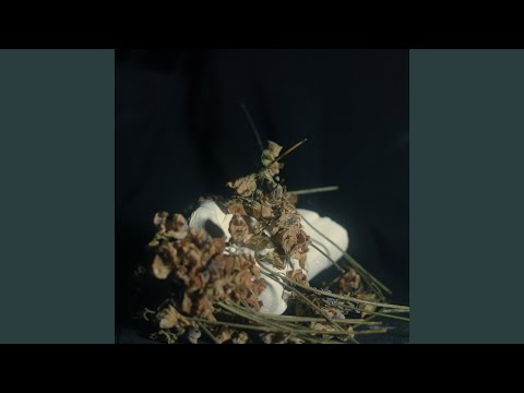 Pain Magazine — Horse Song