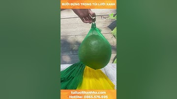 Bưởi đựng trong túi lưới xanh sẽ như thế nào ?/Tuiluoithanhha.com #shorts