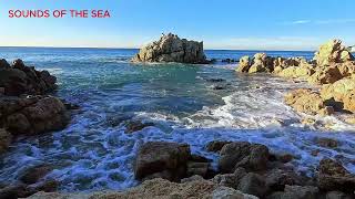 Epic Coastal Symphony: Thundering Waves, Rocky Splendor, and Avian Majesty by Sounds of the Sea 369 views 3 weeks ago 25 minutes