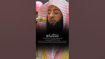 ﴿ مِّنَ ٱلۡمُؤۡمِنِينَ رِجَالٞ صَدَقُواْ ﴾ تلاوة هادئة ماتعة للشيخ بدر التركي 🤍