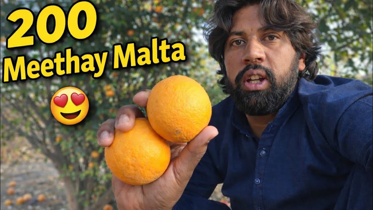 Raste Mein Mil Gaye Meethay Malta | 200 Malta Le Liye | Desi Village Vlog