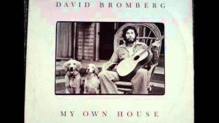 David Bromberg - To Know Her is to Love Her chords