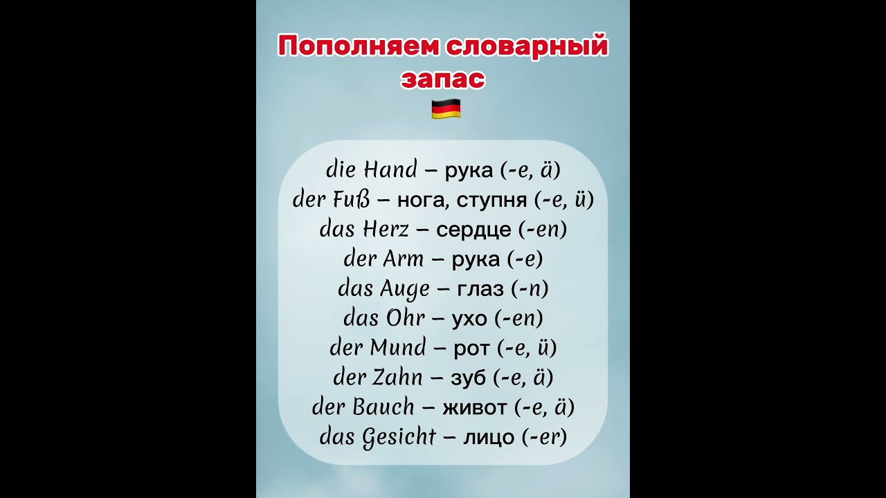 Wortschatz 🇩🇪 