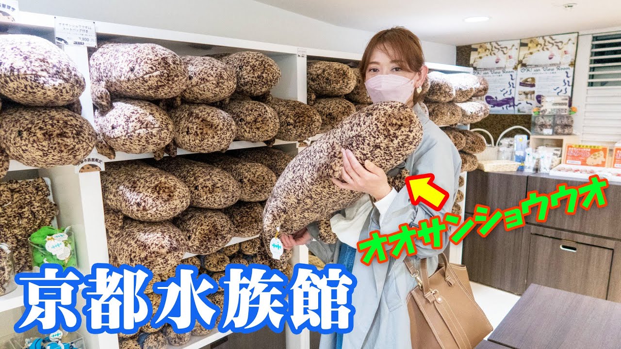 『京都水族館』行ってきました☆【クラゲ】【イルカショー】【オオサンショウウオ】