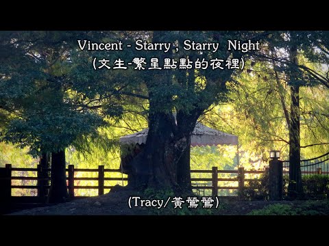 Vincent - Starry , Starry Night / 文生 - 繁星點點的夜裡  (Tracy Huang / 黃鶯鶯) (4K 5.1聲道) (中文翻譯)