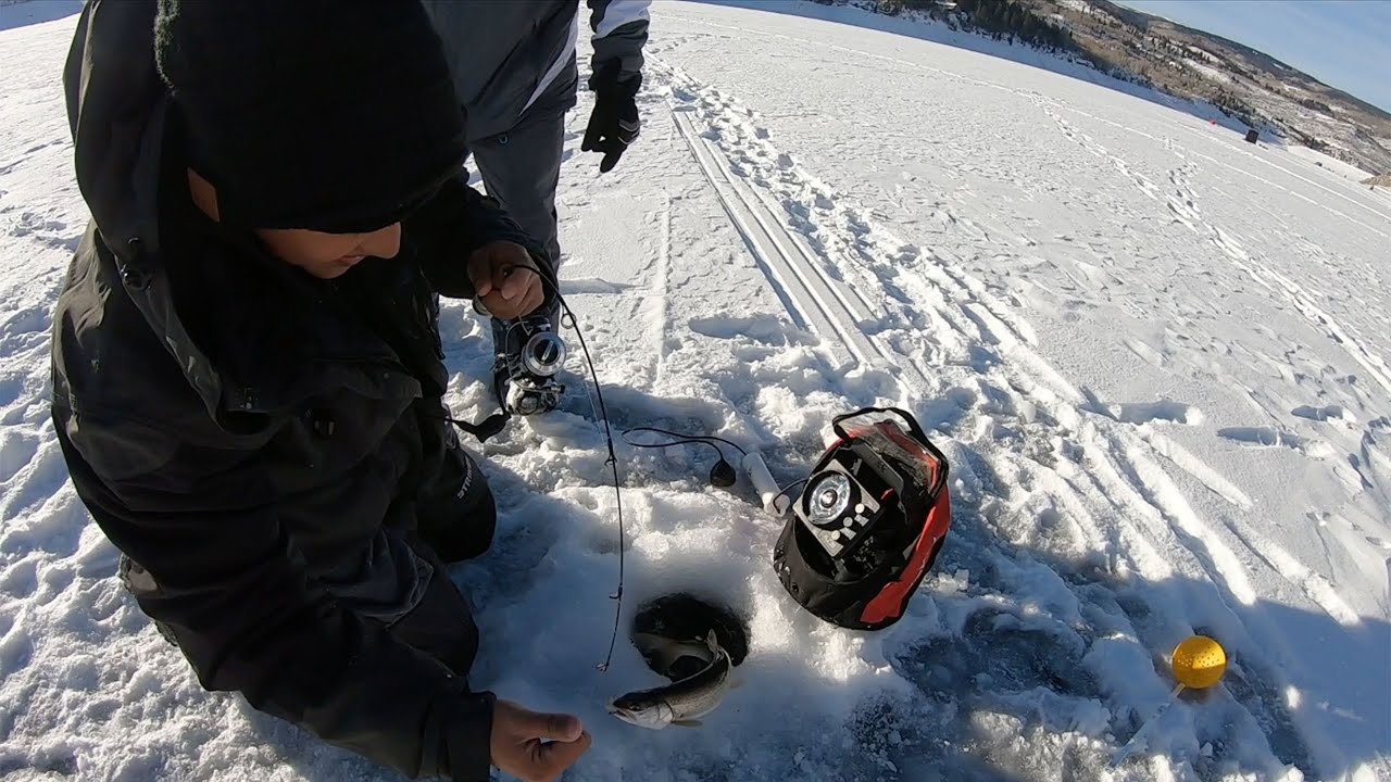MY FIRST EVER LAKE TROUT, Ice fishing, Green mountain YouTube