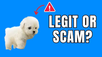 NEW! Nico Realistic Robot Puppy Reviews: Worth It Or A Scam?